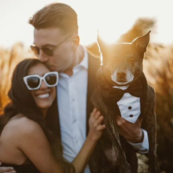 Engaged couple in sunglasses holding their dog in a tuxedo bow tie among golden grasses