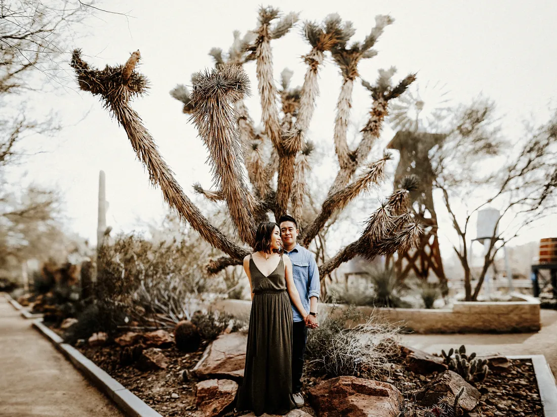 Engaged couple in a desert garden beside a twisted tree
