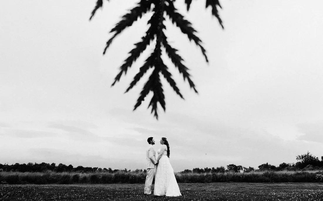 Black and white photo of a bride and groom in a wide field under hanging leaves
