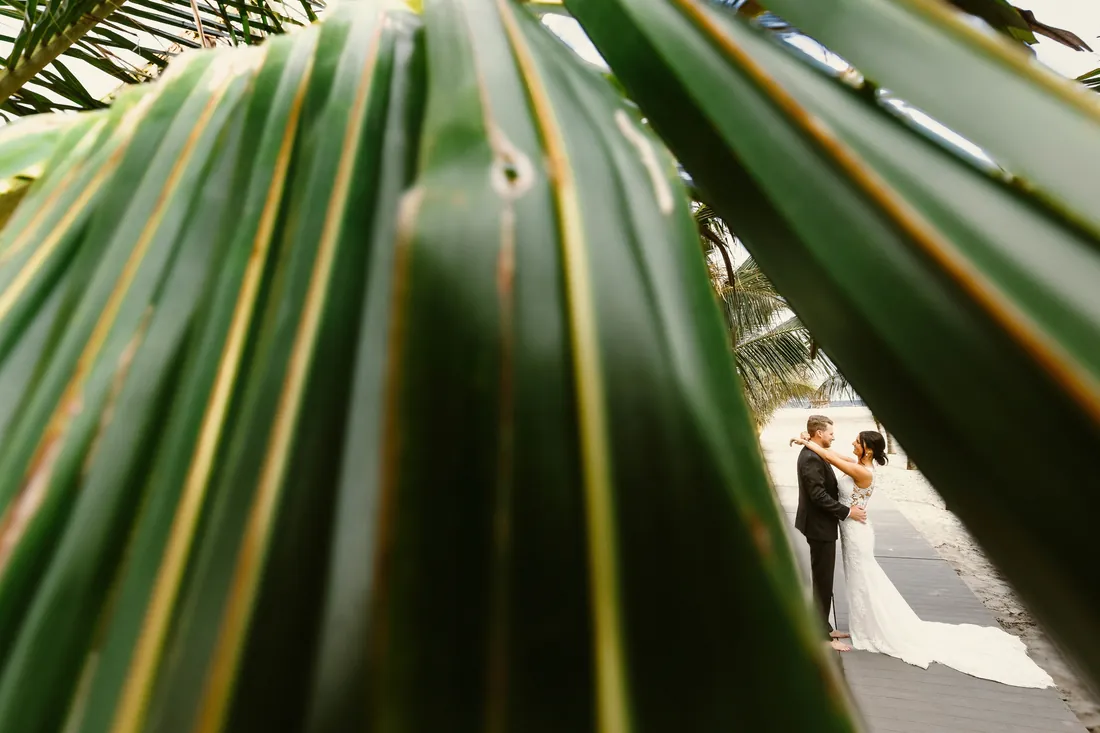 Bride and groom kissing, framed by palm leaves