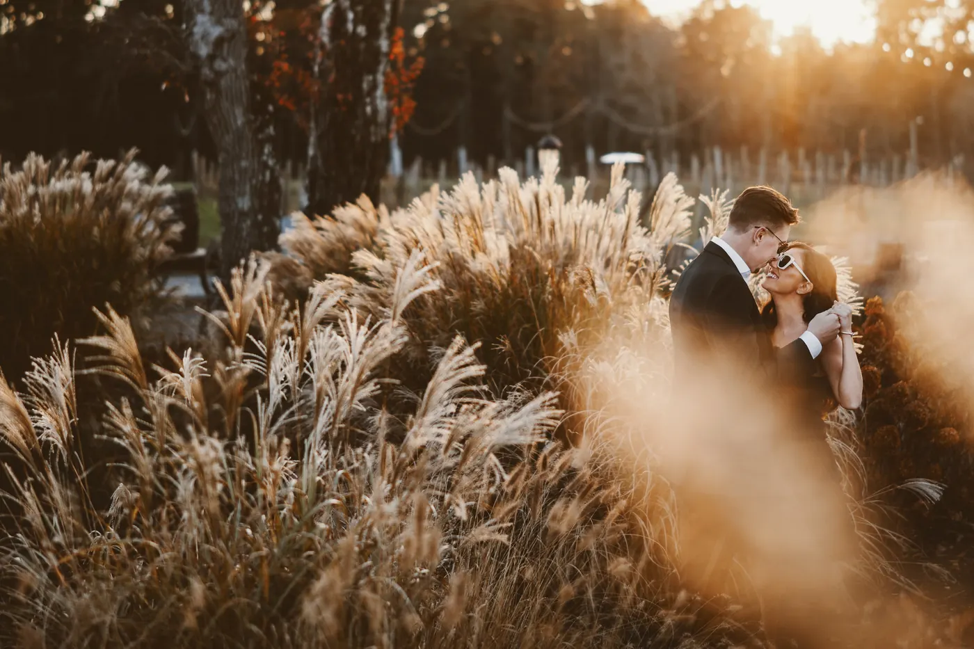 Morgan and Will framed by glowing ornamental grass at sunset at Renault Winery in Egg Harbor City, NJ