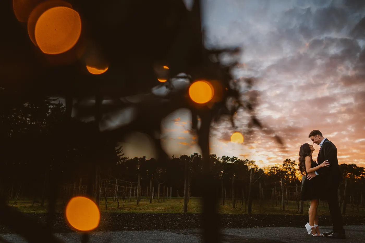 Morgan and Will kissing in the vineyard at sunset framed by glowing lights at Renault Winery in Egg Harbor City, NJ