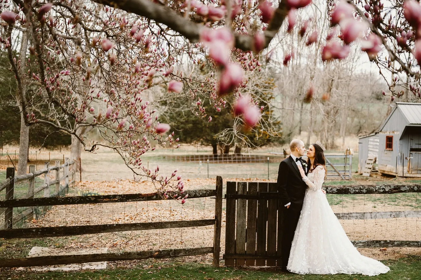 Steve and Maria embracing by a wooden farm fence under magnolia branches